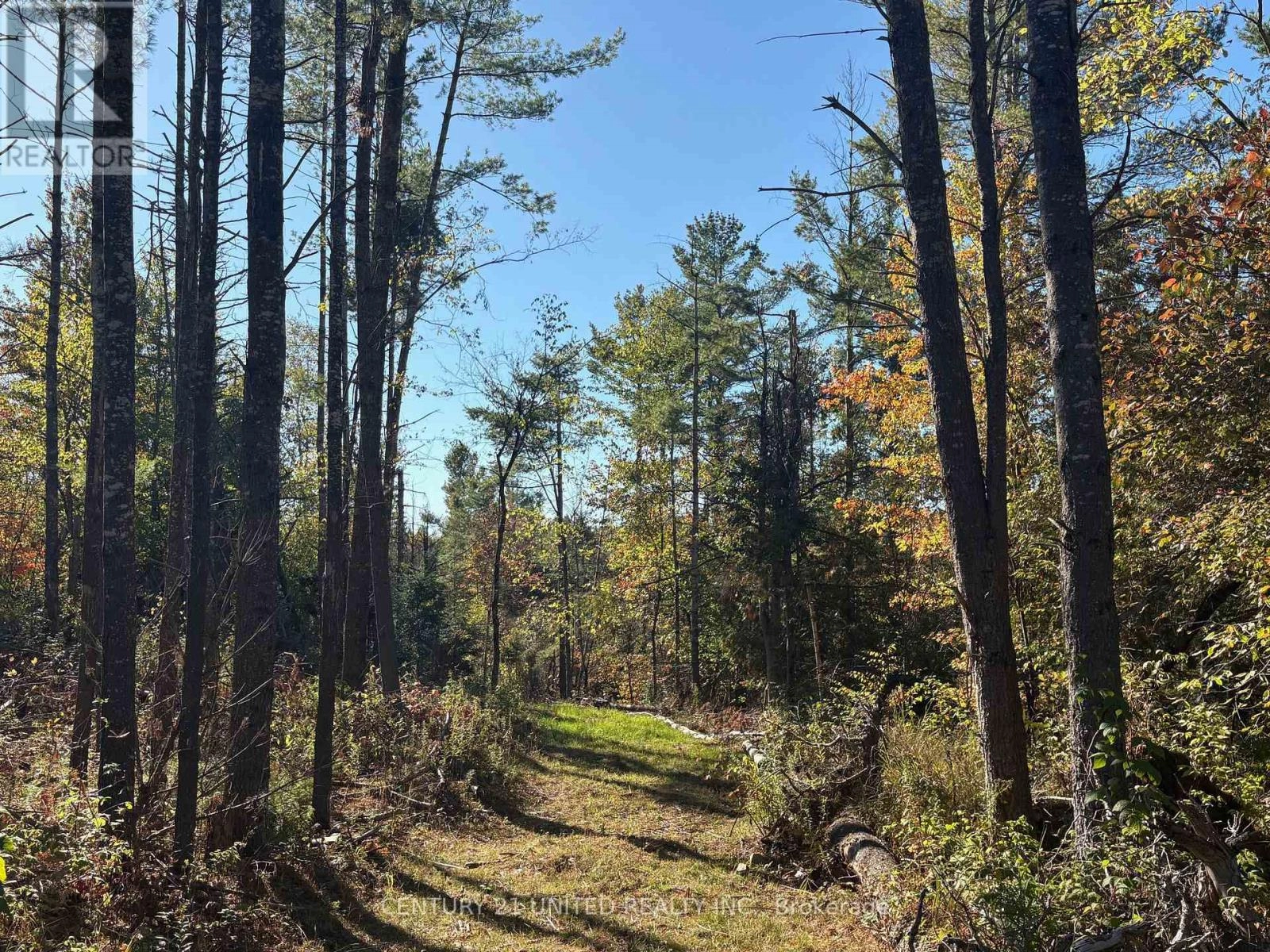 N/a Twin Sister Lakes Road, Marmora And Lake, Ontario K0K 2M0 - Photo 10 - X12434847