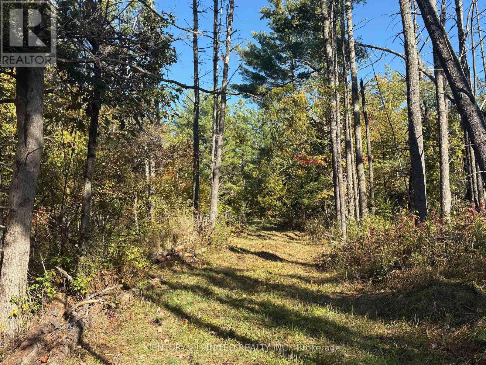 N/a Twin Sister Lakes Road, Marmora And Lake, Ontario K0K 2M0 - Photo 12 - X12434847