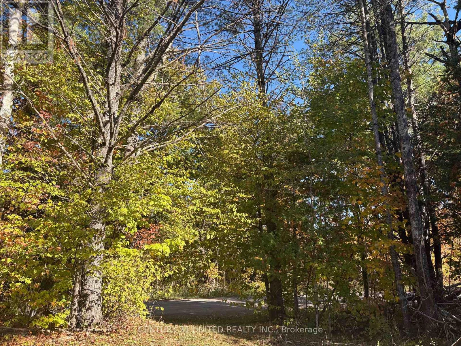 N/a Twin Sister Lakes Road, Marmora And Lake, Ontario K0K 2M0 - Photo 16 - X12434847