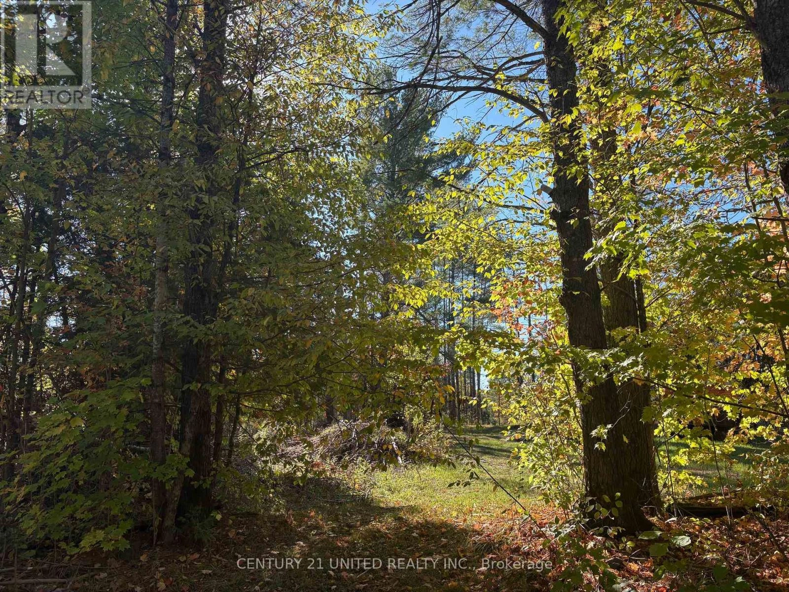 N/a Twin Sister Lakes Road, Marmora And Lake, Ontario  K0K 2M0 - Photo 2 - X12434847