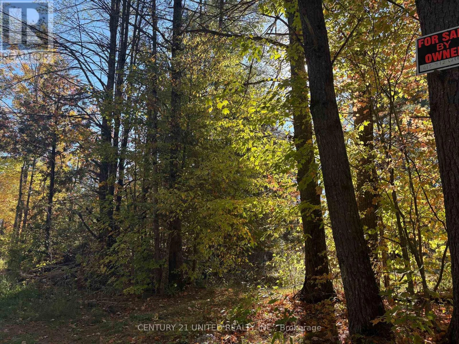 N/a Twin Sister Lakes Road, Marmora And Lake, Ontario  K0K 2M0 - Photo 3 - X12434847