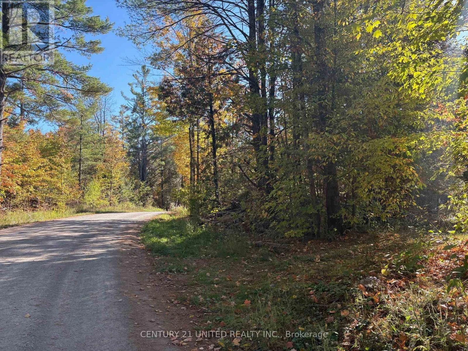 N/a Twin Sister Lakes Road, Marmora And Lake, Ontario K0K 2M0 - Photo 4 - X12434847