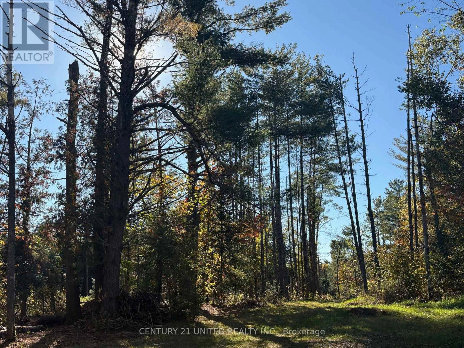 N/a Twin Sister Lakes Road, Marmora And Lake, Ontario K0K 2M0 - Photo 6 - X12434847