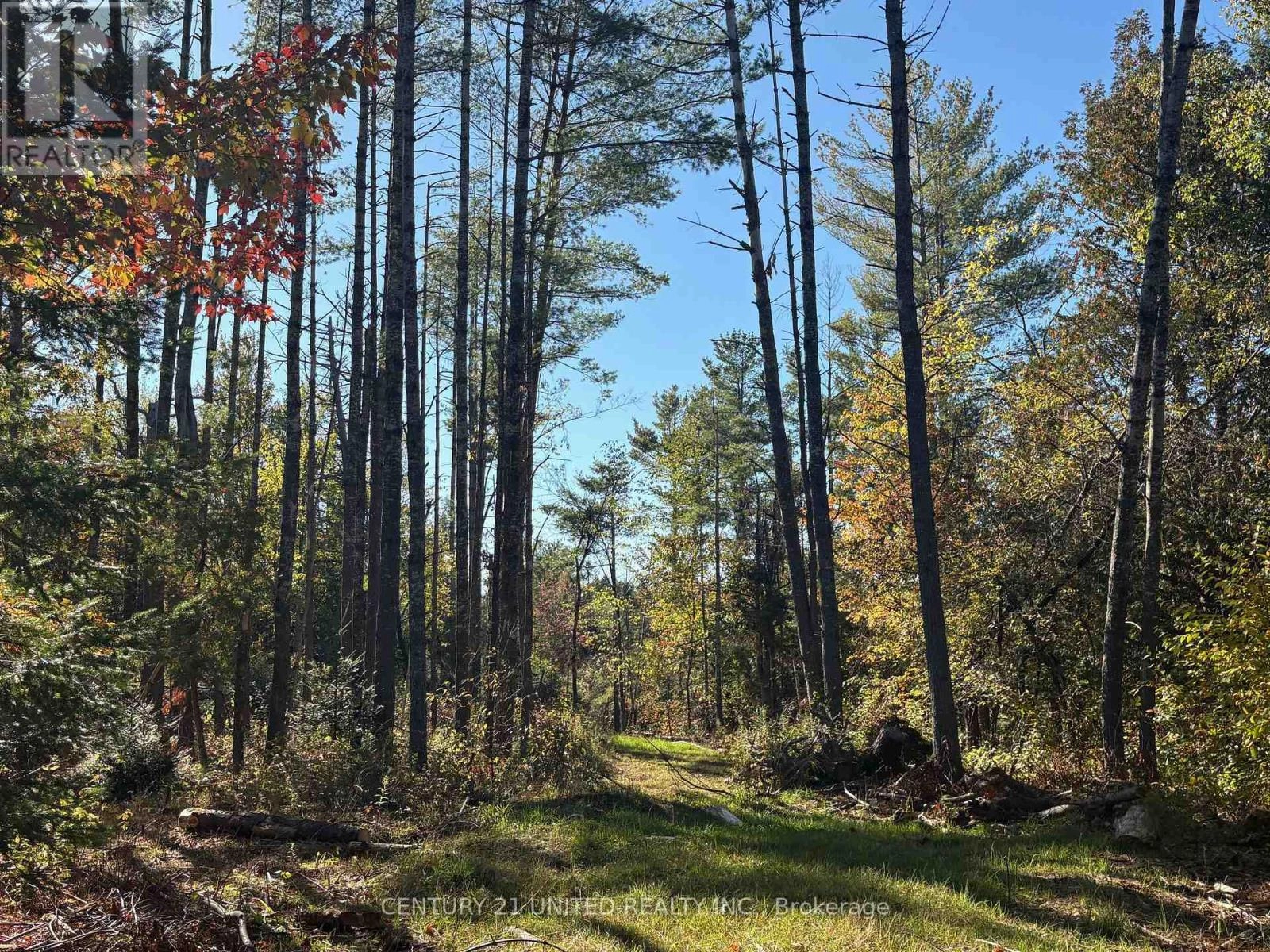 N/a Twin Sister Lakes Road, Marmora And Lake, Ontario K0K 2M0 - Photo 7 - X12434847