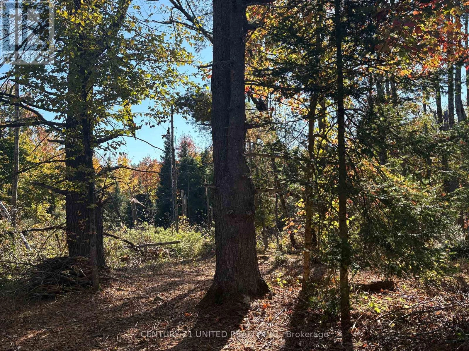 N/a Twin Sister Lakes Road, Marmora And Lake, Ontario K0K 2M0 - Photo 8 - X12434847