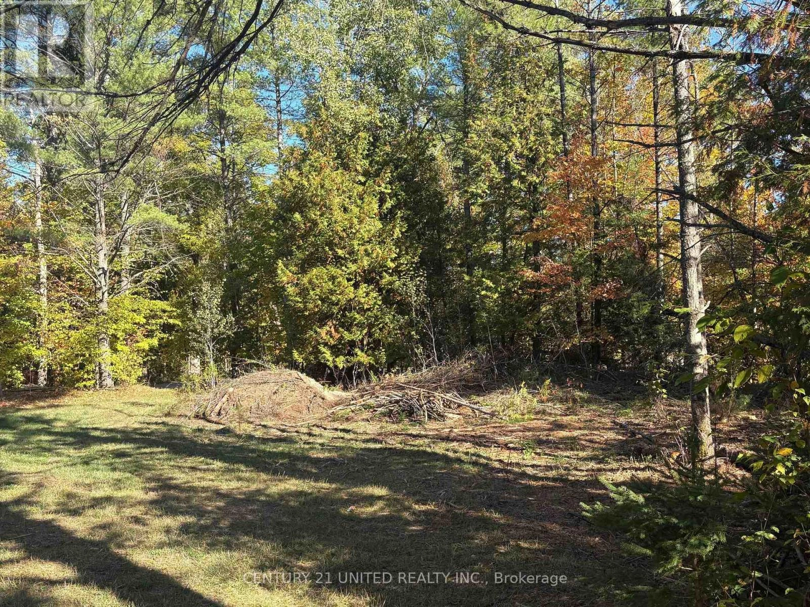 N/a Twin Sister Lakes Road, Marmora And Lake, Ontario K0K 2M0 - Photo 9 - X12434847