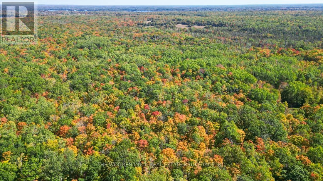 0east1 Road Allowance Road, Havelock-Belmont-Methuen, Ontario K0L 1Z0 - Photo 10 - X11953181