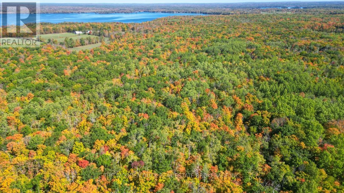 0east1 Road Allowance Road, Havelock-Belmont-Methuen, Ontario K0L 1Z0 - Photo 12 - X11953181