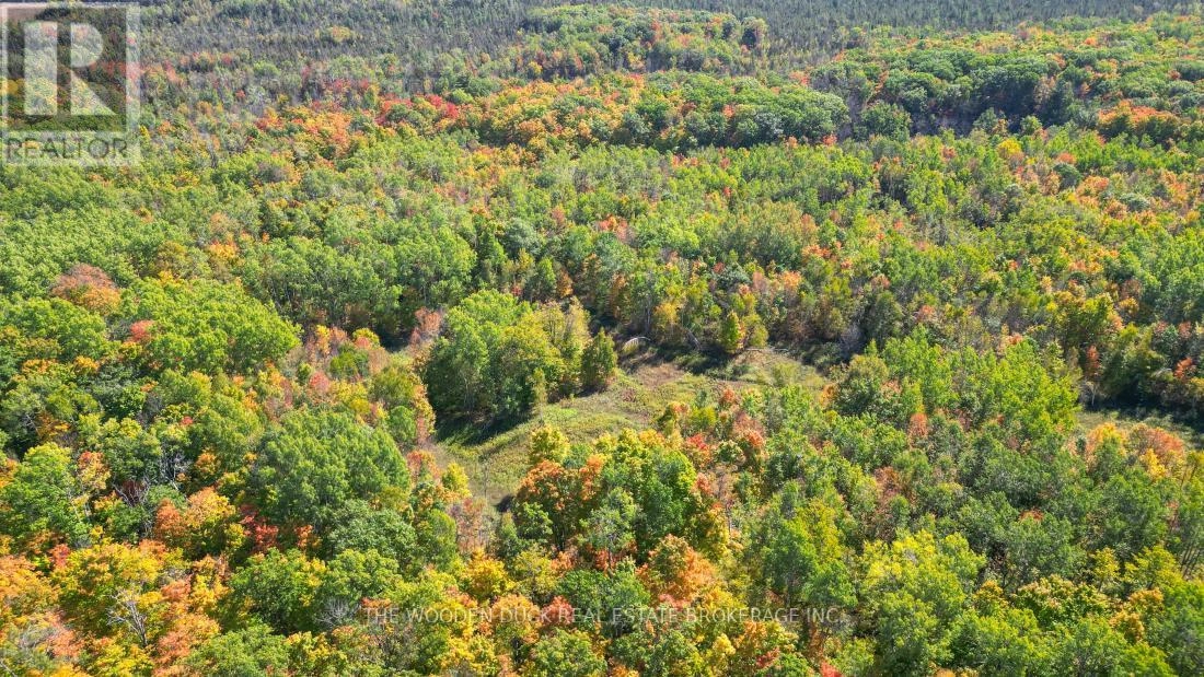 0east1 Road Allowance Road, Havelock-Belmont-Methuen, Ontario K0L 1Z0 - Photo 11 - X11953181