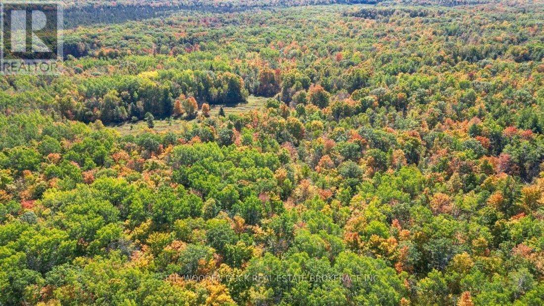 0east1 Road Allowance Road, Havelock-Belmont-Methuen, Ontario K0L 1Z0 - Photo 9 - X11953181
