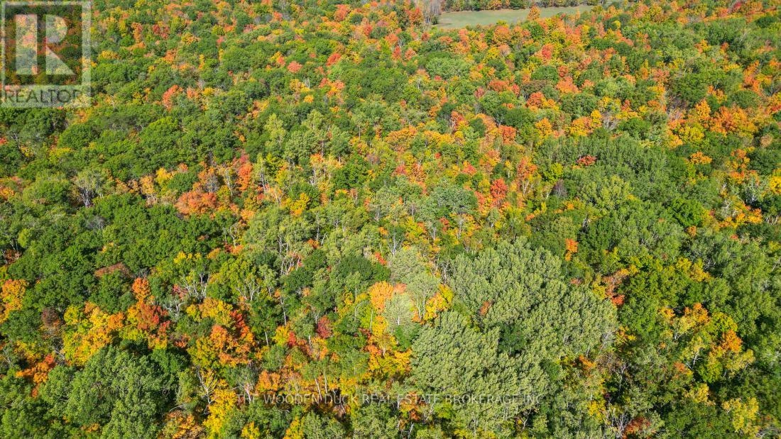 0east1 Road Allowance Road, Havelock-Belmont-Methuen, Ontario K0L 1Z0 - Photo 16 - X11953181
