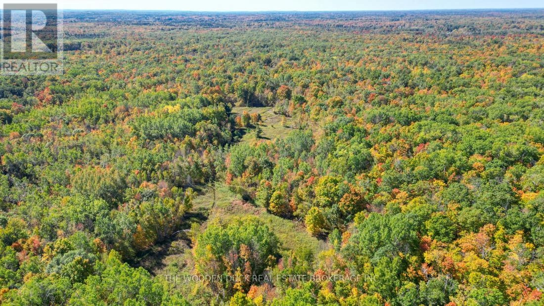 0east1 Road Allowance Road, Havelock-Belmont-Methuen, Ontario K0L 1Z0 - Photo 14 - X11953181