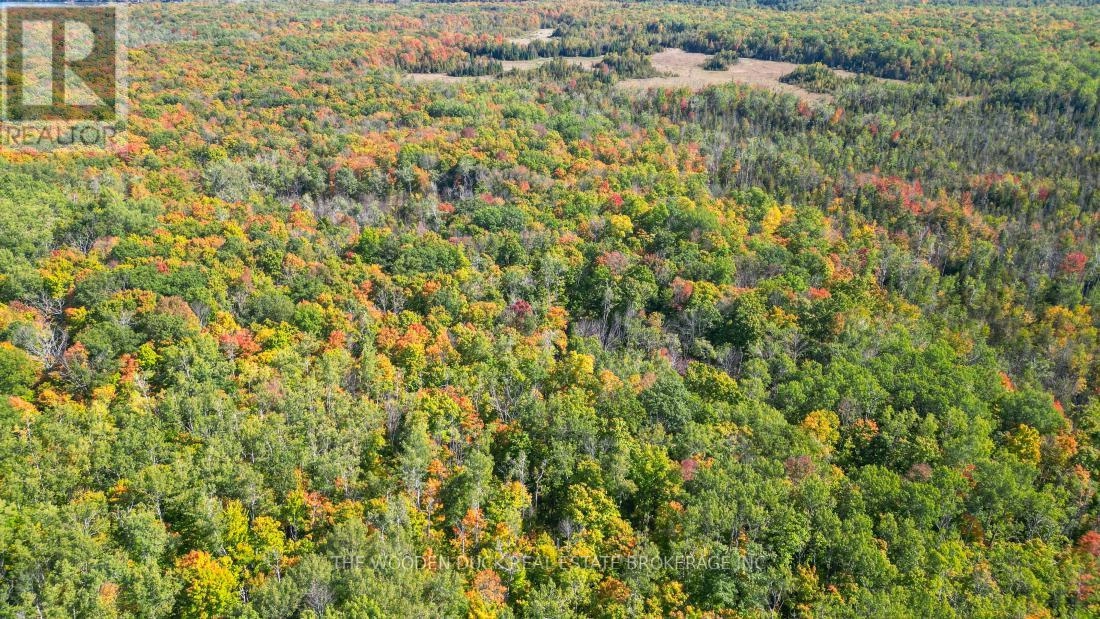 0east1 Road Allowance Road, Havelock-Belmont-Methuen, Ontario K0L 1Z0 - Photo 13 - X11953181