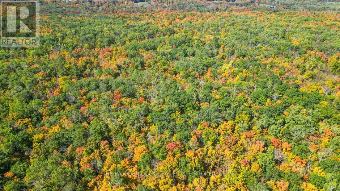 0east1 Road Allowance Road, Havelock-Belmont-Methuen, Ontario K0L 1Z0 - Photo 18 - X11953181