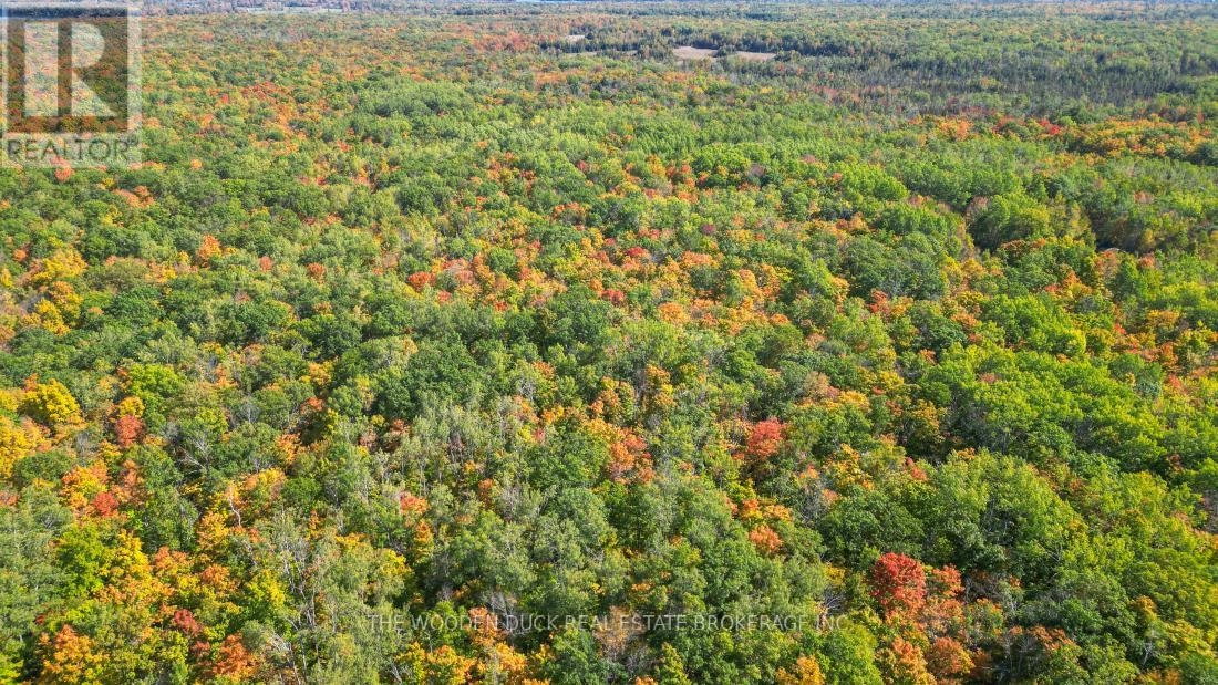 0east1 Road Allowance Road, Havelock-Belmont-Methuen, Ontario K0L 1Z0 - Photo 8 - X11953181