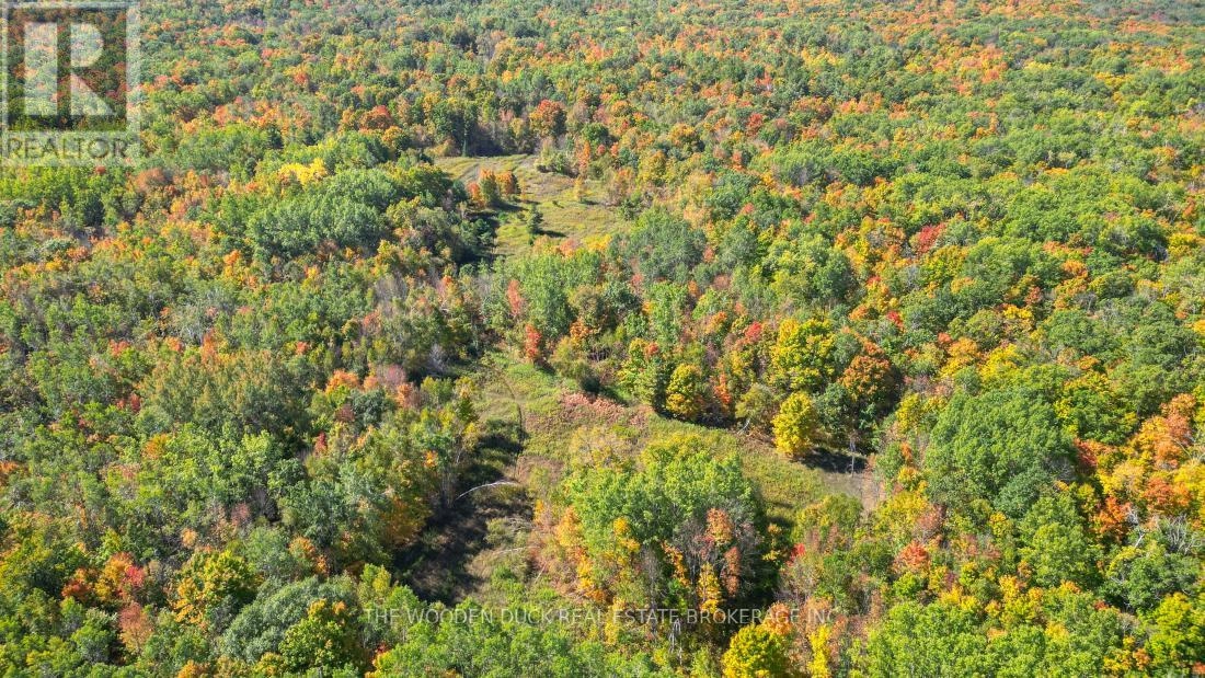 0east1 Road Allowance Road, Havelock-Belmont-Methuen, Ontario K0L 1Z0 - Photo 17 - X11953181
