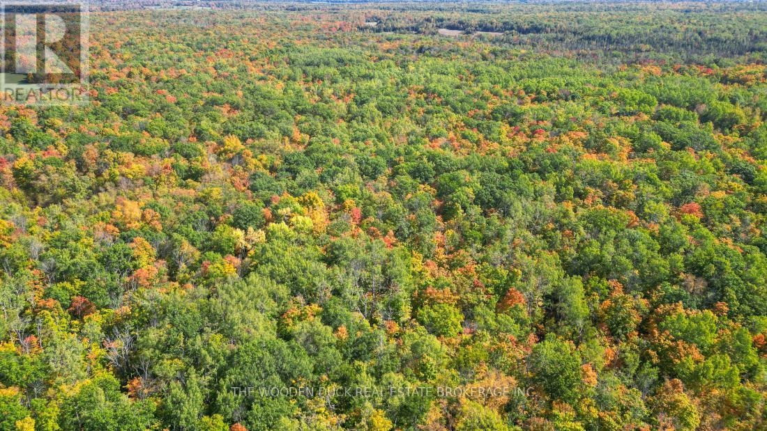 0east1 Road Allowance Road, Havelock-Belmont-Methuen, Ontario K0L 1Z0 - Photo 7 - X11953181