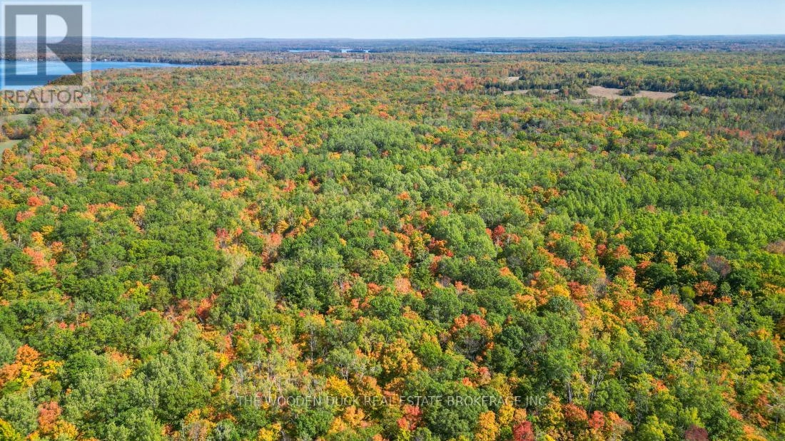 0east1 Road Allowance Road, Havelock-Belmont-Methuen, Ontario K0L 1Z0 - Photo 19 - X11953181