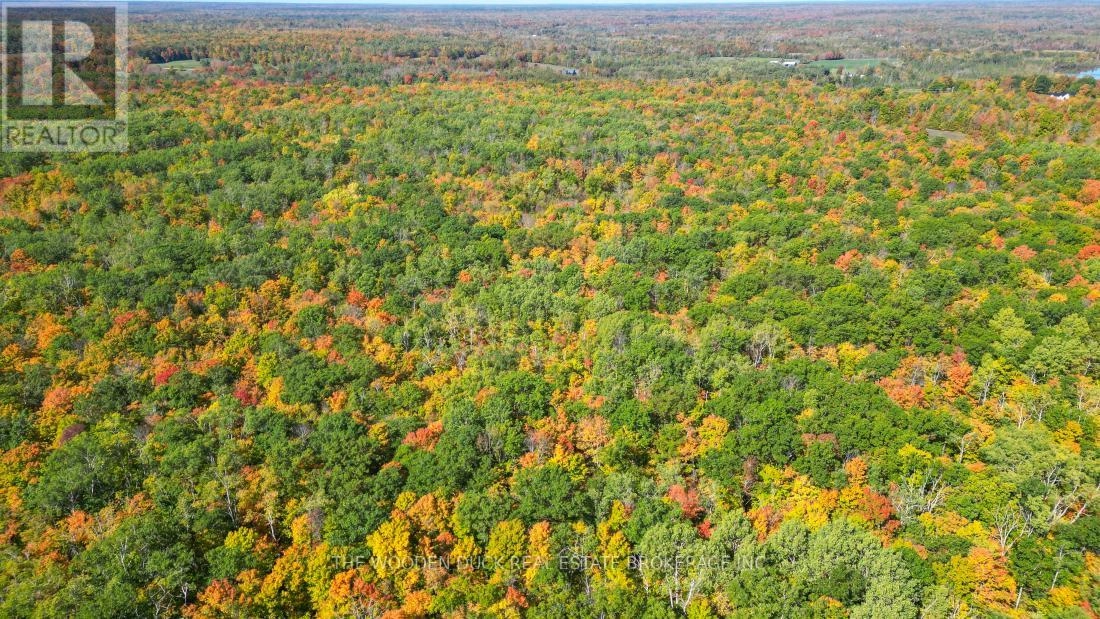 0east1 Road Allowance Road, Havelock-Belmont-Methuen, Ontario K0L 1Z0 - Photo 15 - X11953181