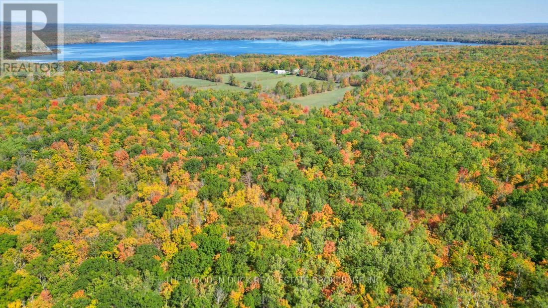 0east1 Road Allowance Road, Havelock-Belmont-Methuen, Ontario K0L 1Z0 - Photo 6 - X11953181