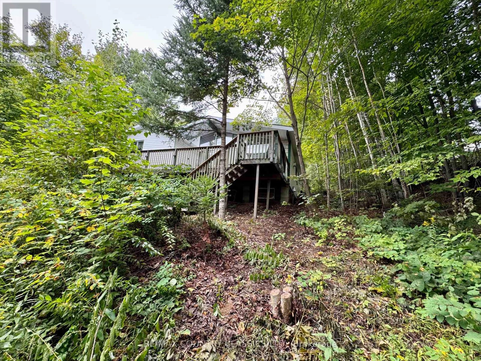 256 Elgin Road, Hastings Highlands, Ontario  K0L 2K0 - Photo 2 - X12370611