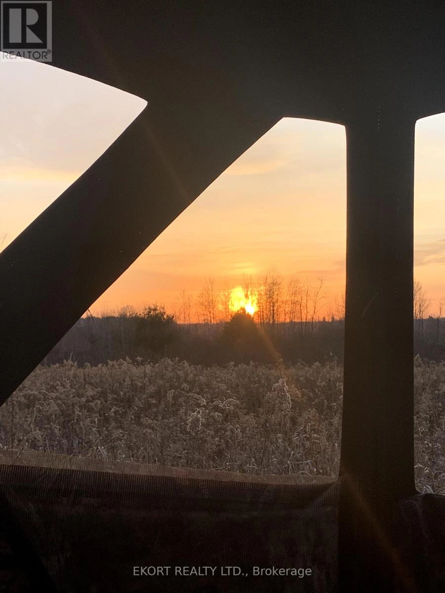 309 Vanderwater Road, Tweed, Ontario  K0K 3H0 - Photo 10 - X12450096