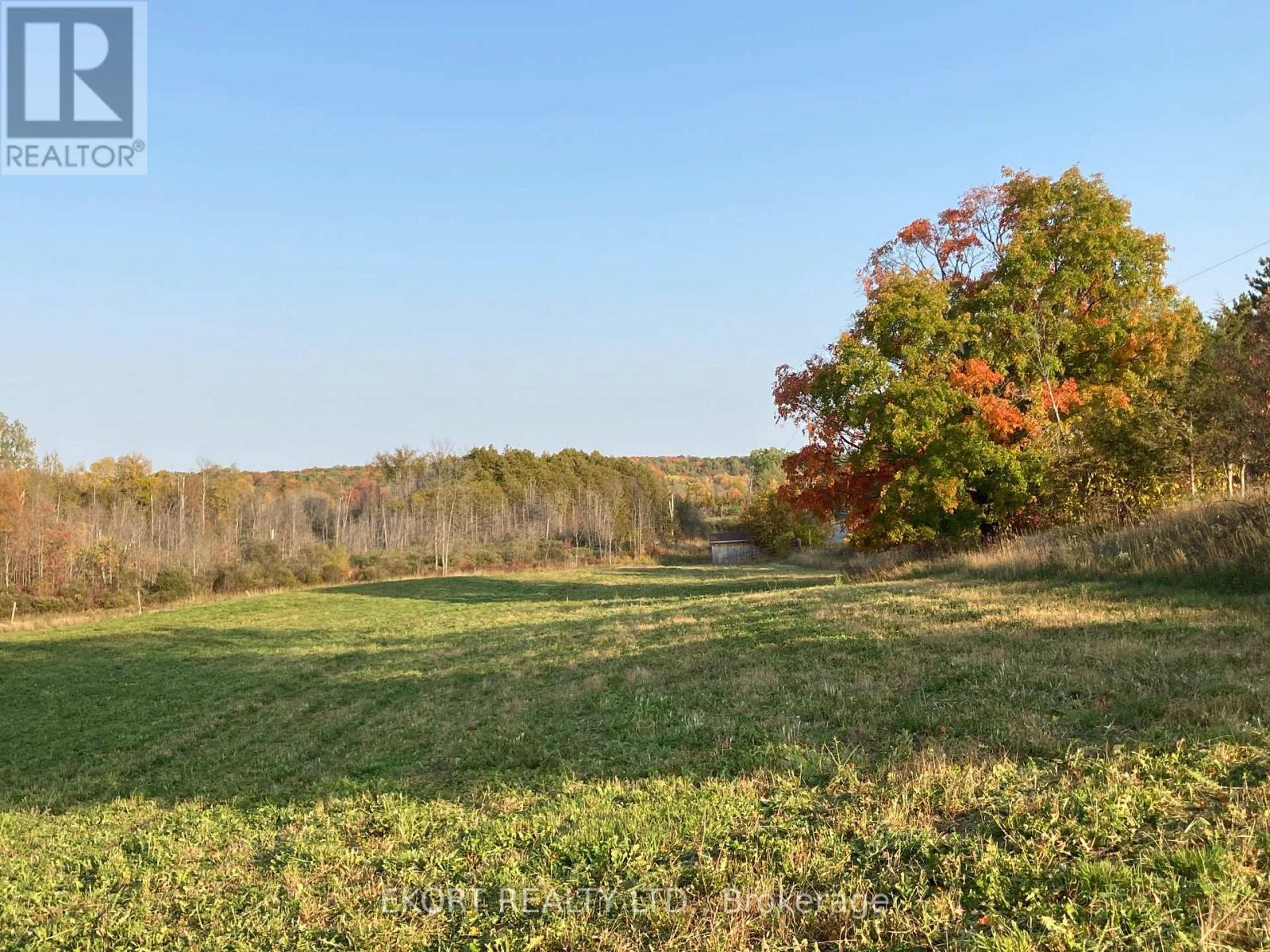 309 Vanderwater Road, Tweed, Ontario  K0K 3H0 - Photo 11 - X12450096