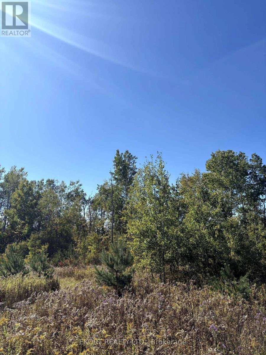 309 Vanderwater Road, Tweed, Ontario  K0K 3H0 - Photo 12 - X12450096