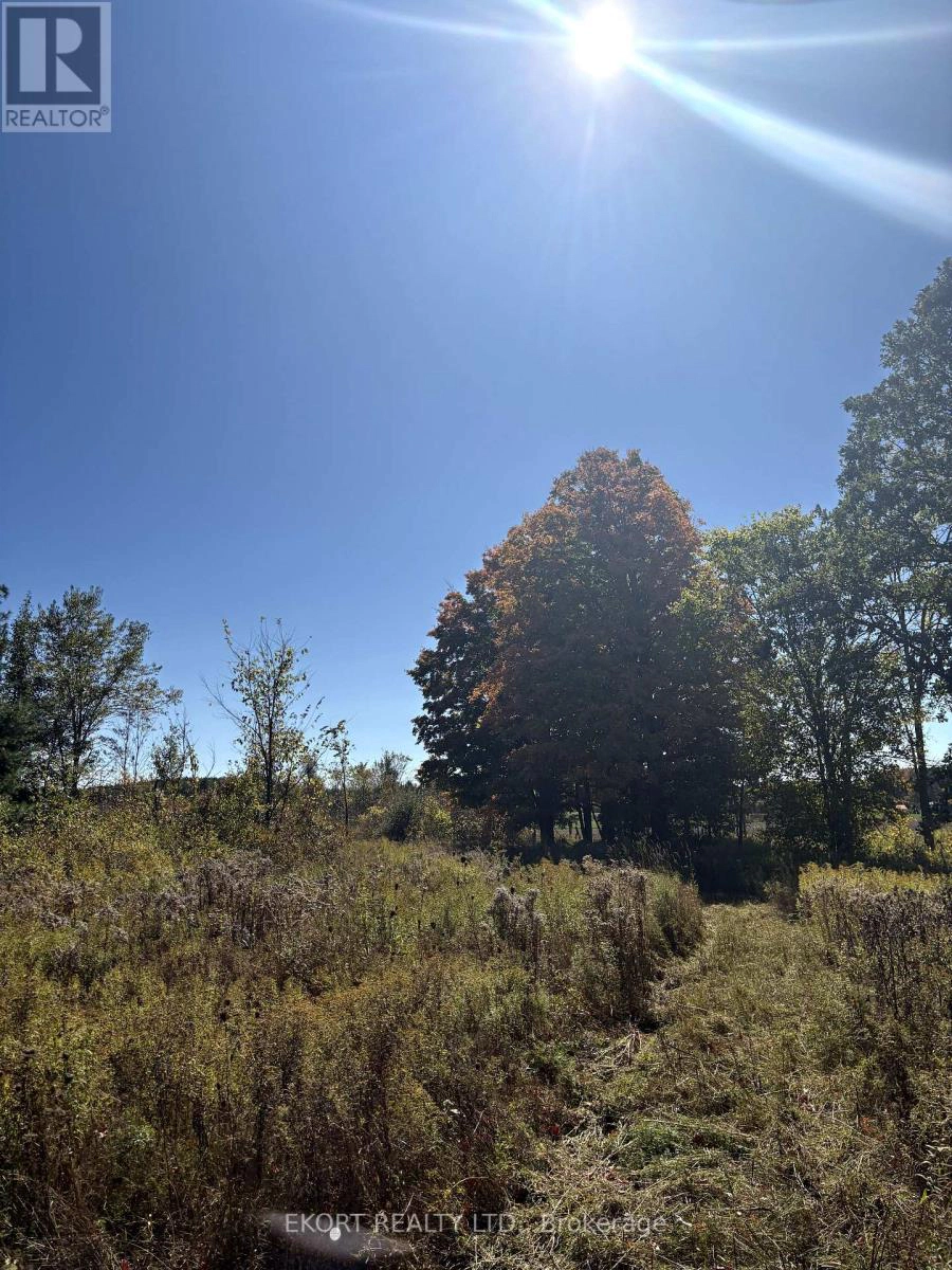 309 Vanderwater Road, Tweed, Ontario  K0K 3H0 - Photo 13 - X12450096