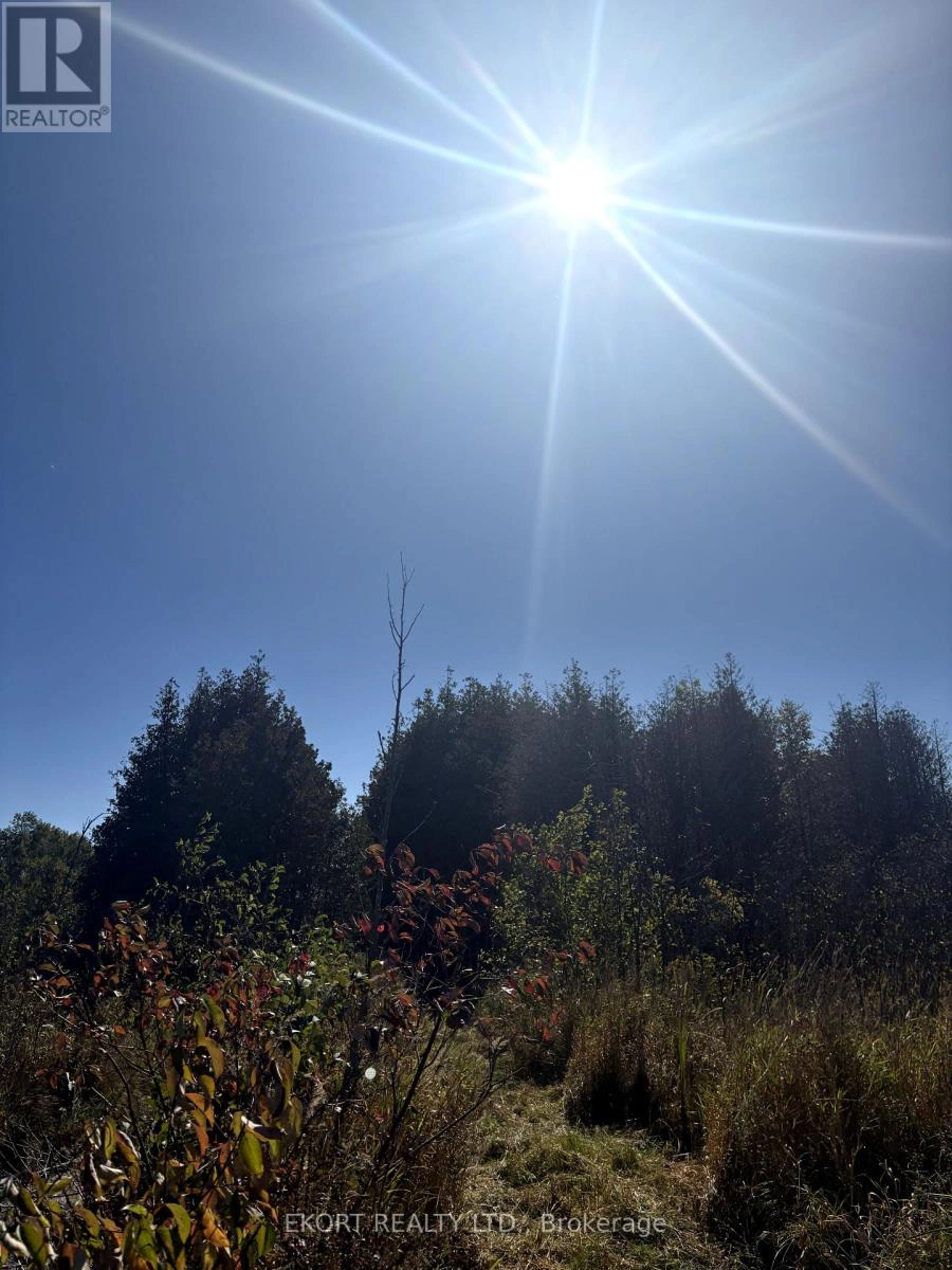 309 Vanderwater Road, Tweed, Ontario  K0K 3H0 - Photo 15 - X12450096