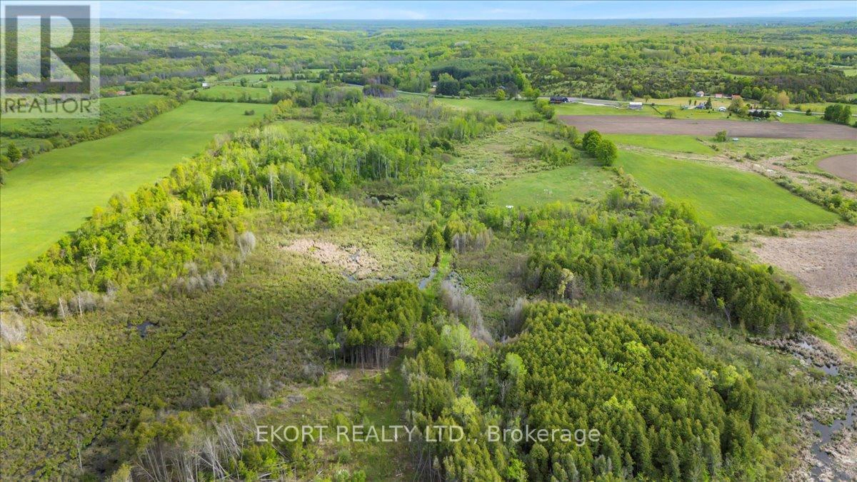 309 Vanderwater Road, Tweed, Ontario  K0K 3H0 - Photo 17 - X12450096