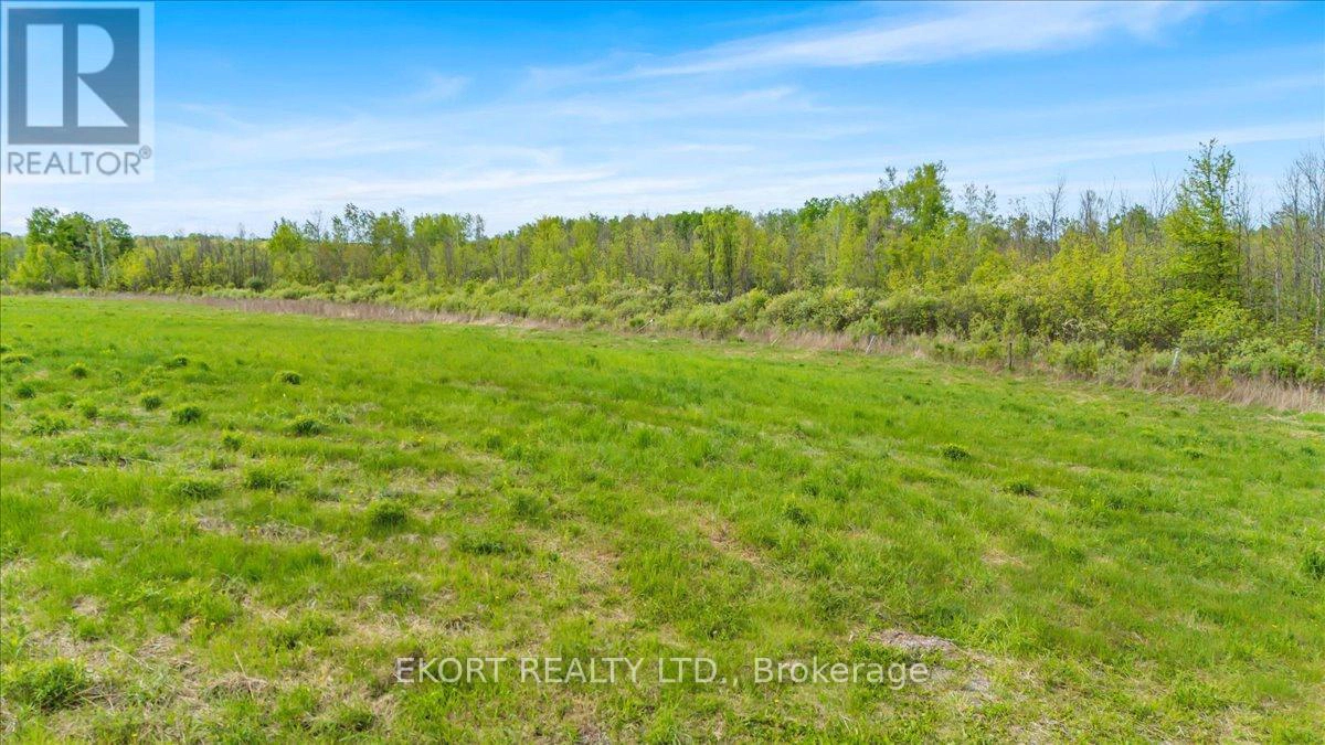 309 Vanderwater Road, Tweed, Ontario  K0K 3H0 - Photo 4 - X12450096