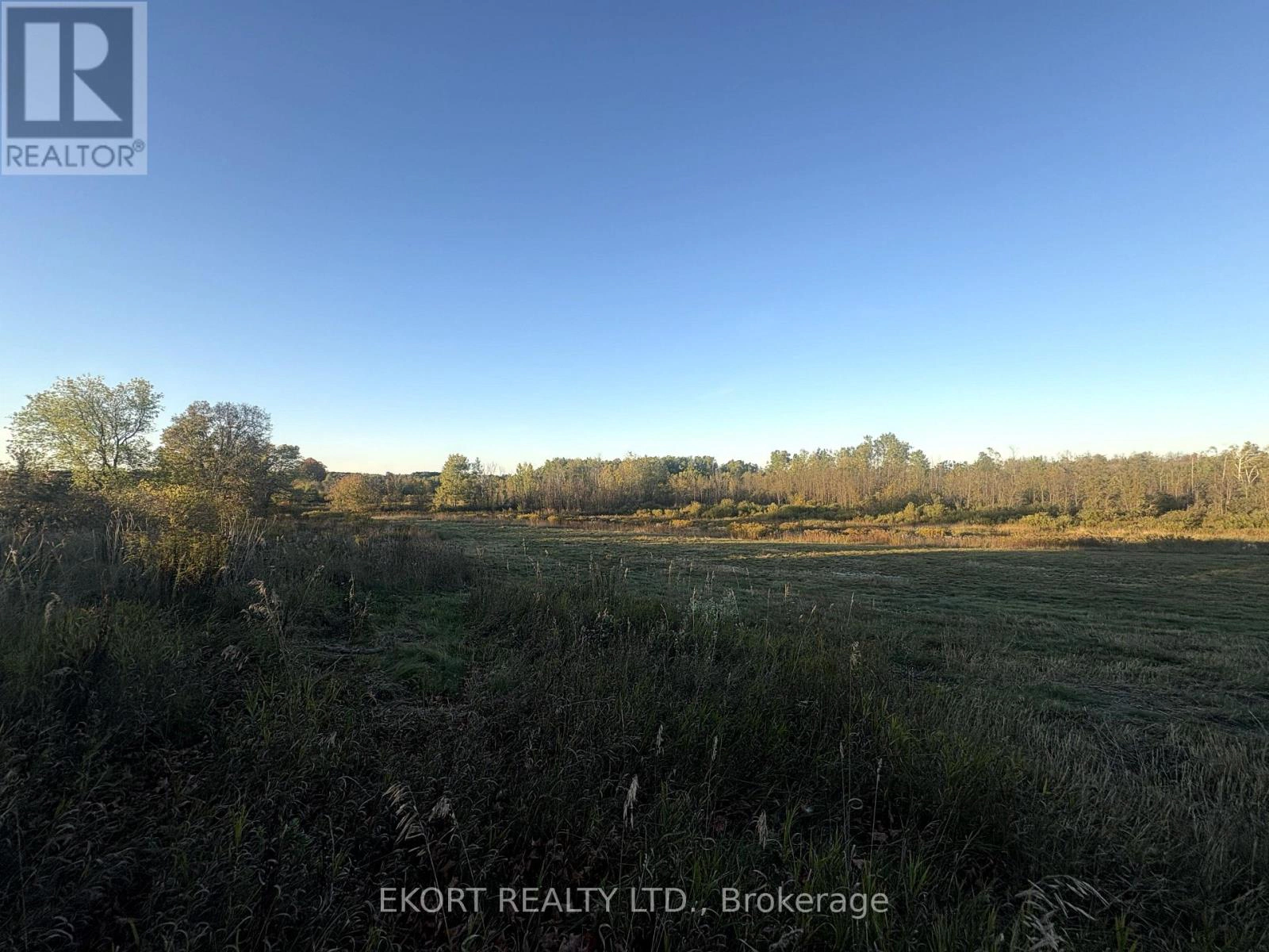 309 Vanderwater Road, Tweed, Ontario  K0K 3H0 - Photo 6 - X12450096