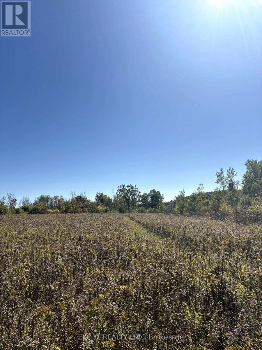 309 Vanderwater Road, Tweed, Ontario  K0K 3H0 - Photo 7 - X12450096