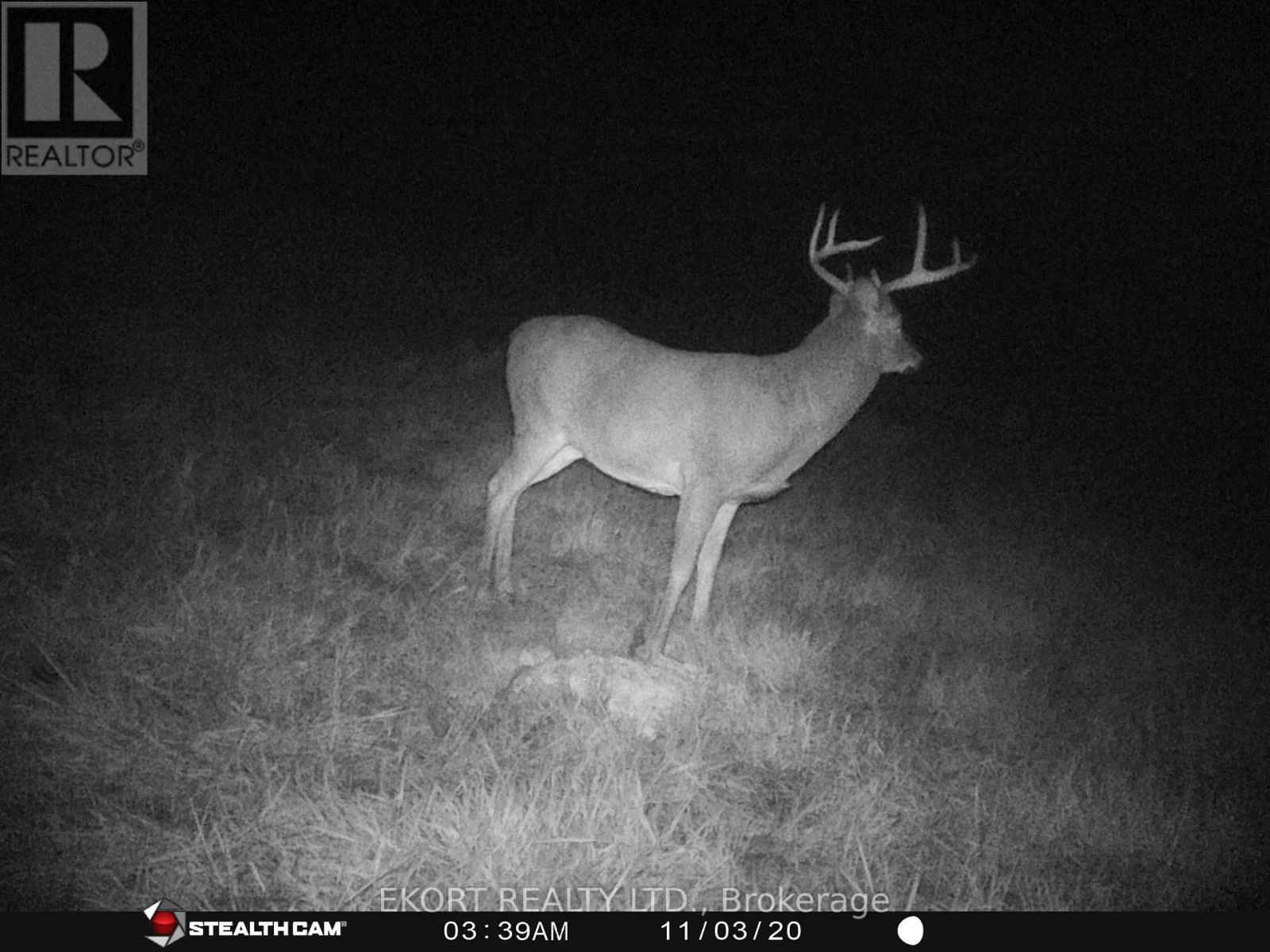 309 Vanderwater Road, Tweed, Ontario  K0K 3H0 - Photo 9 - X12450096