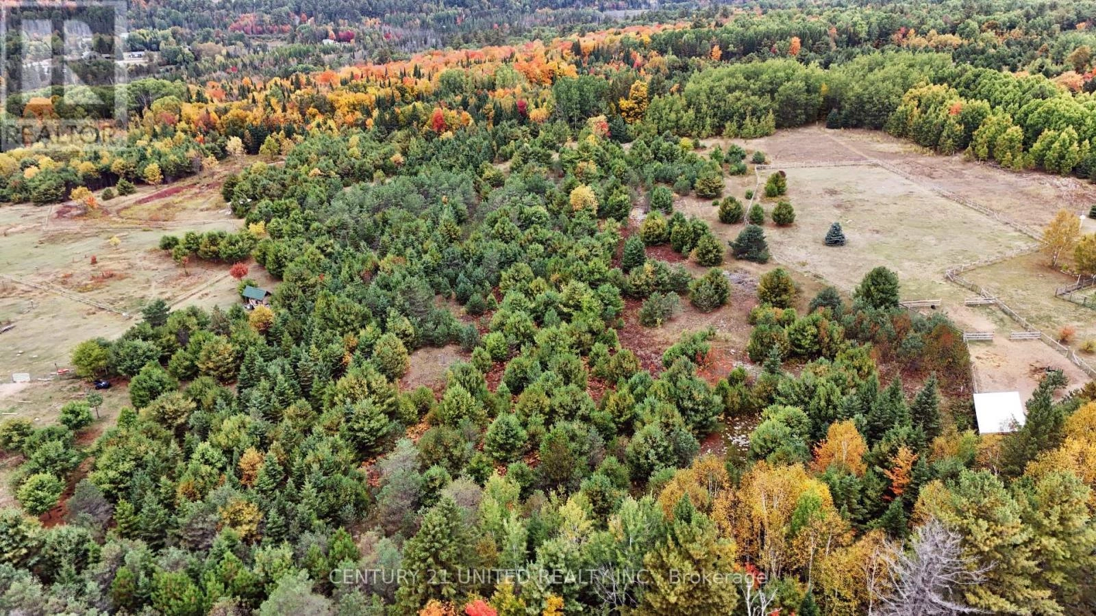 0 Mclean Road, Hastings Highlands, Ontario  K0L 2R0 - Photo 2 - X12451318