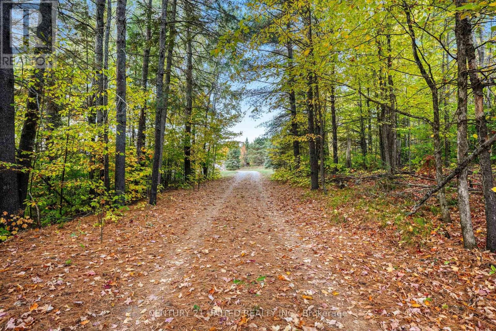 31 Mclean Road, Hastings Highlands, Ontario  K0L 2R0 - Photo 2 - X12451624