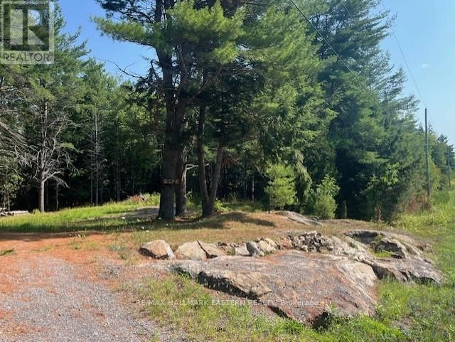942 Balmer Road, North Kawartha, Ontario  K0L 1A0 - Photo 2 - X12452171