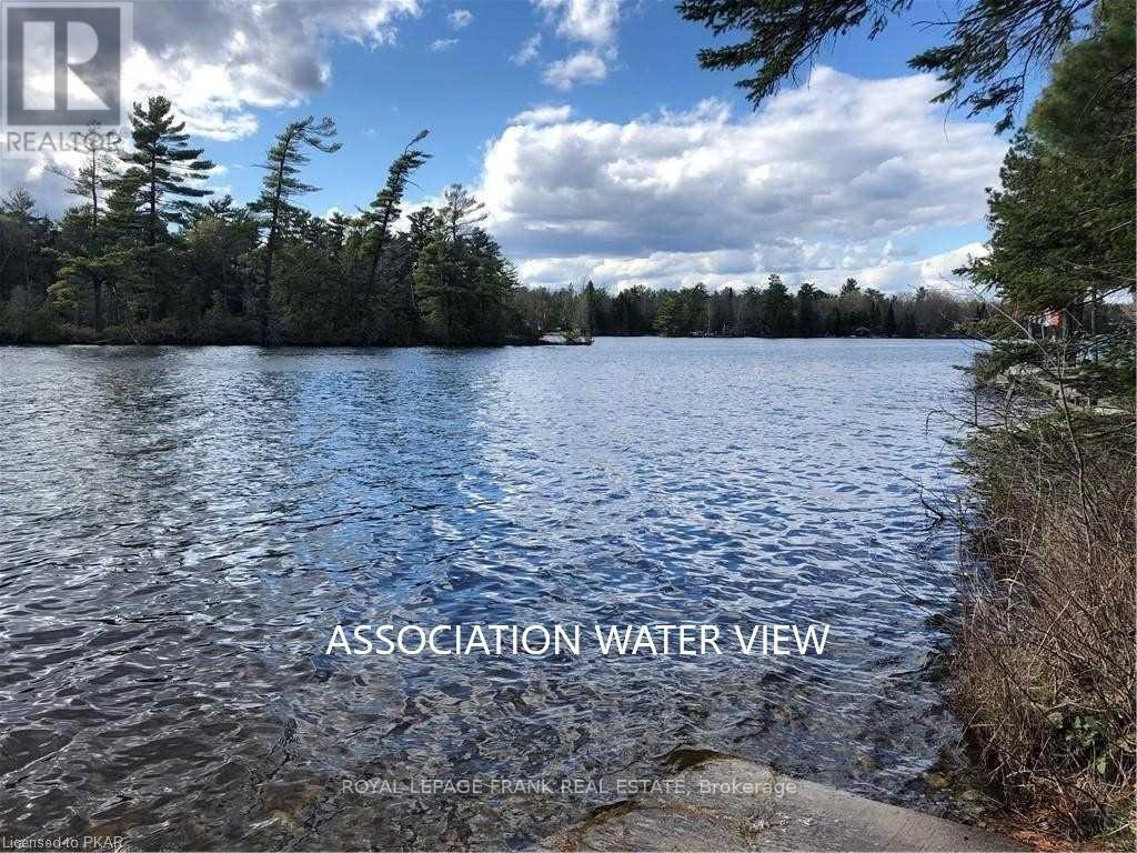 25 Lakeland Avenue, Trent Lakes, Ontario K0L 1J0 - Photo 43 - X12454715