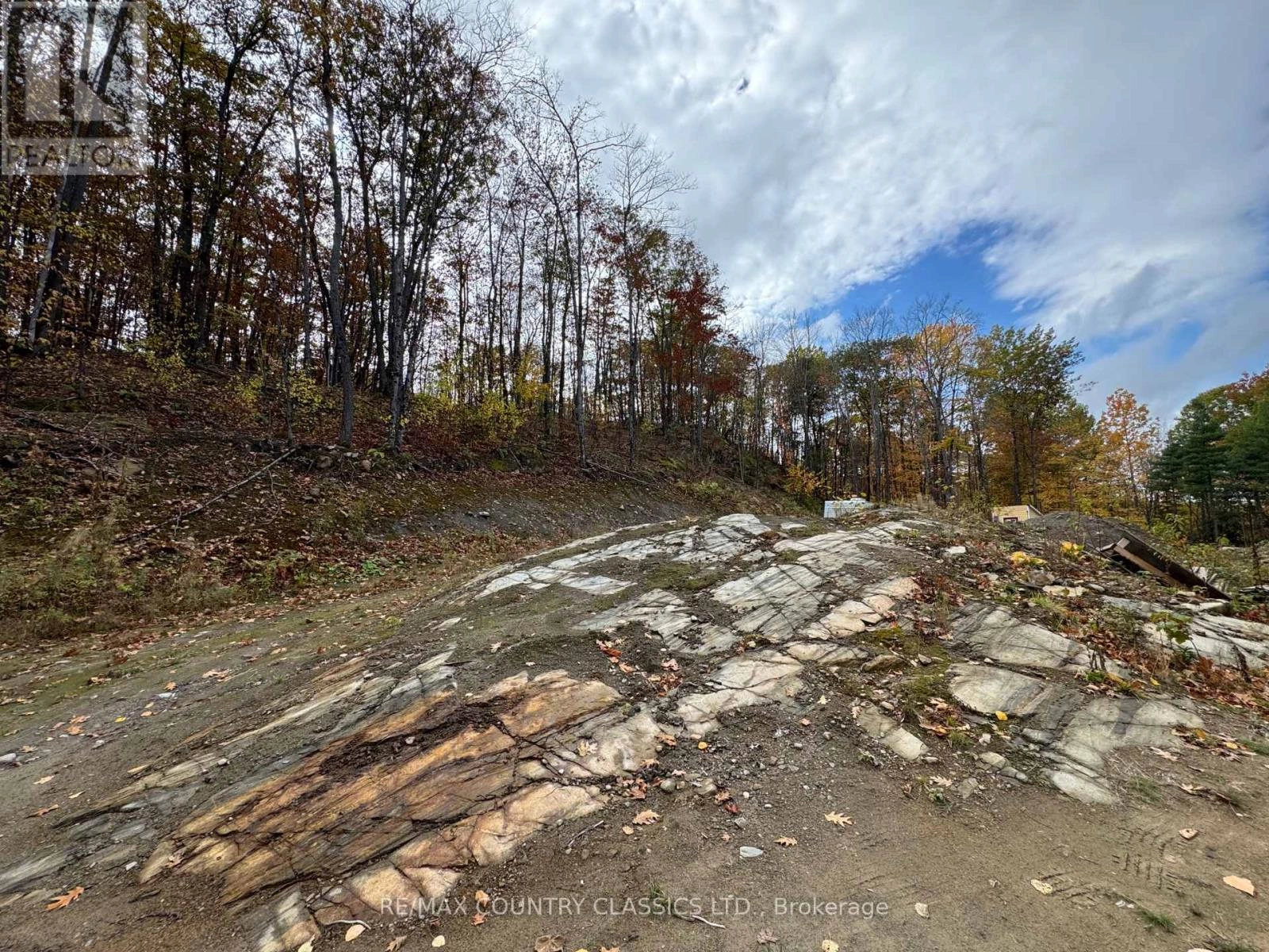 436 Snow Road, Bancroft, Ontario  K0L 1C0 - Photo 2 - X12455986