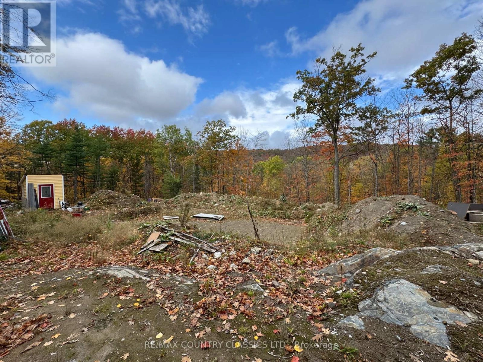 436 Snow Road, Bancroft, Ontario  K0L 1C0 - Photo 3 - X12455986