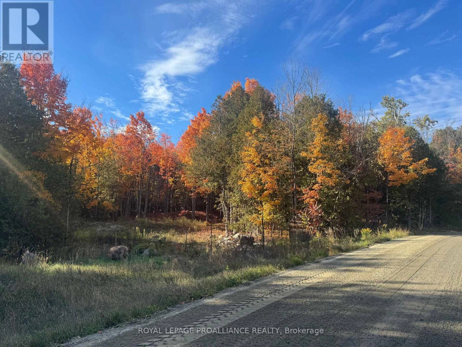 Lot 2 Vansickle Road N, Havelock-Belmont-Methuen, Ontario  K0L 1C0 - Photo 1 - X12460805