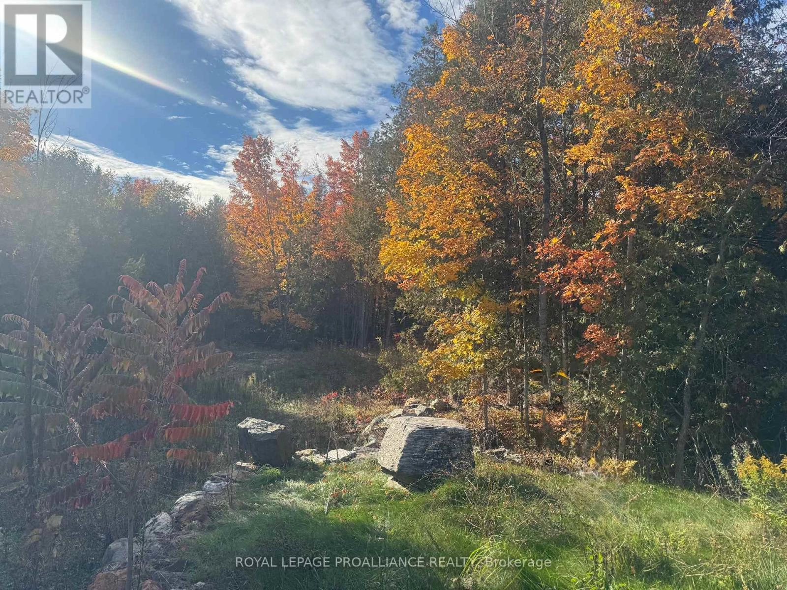 Lot 2 Vansickle Road N, Havelock-Belmont-Methuen, Ontario  K0L 1C0 - Photo 2 - X12460805