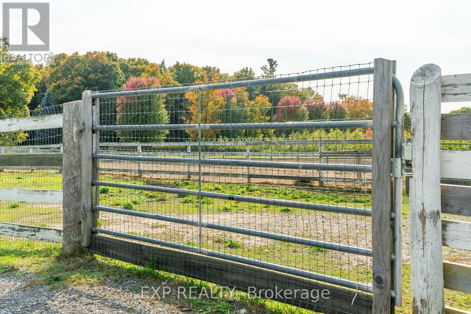 772 Townline Road W, Scugog, Ontario  L0B 1A0 - Photo 18 - E12474656