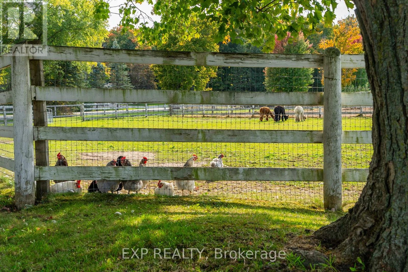 772 Townline Road W, Scugog, Ontario  L0B 1A0 - Photo 19 - E12474656