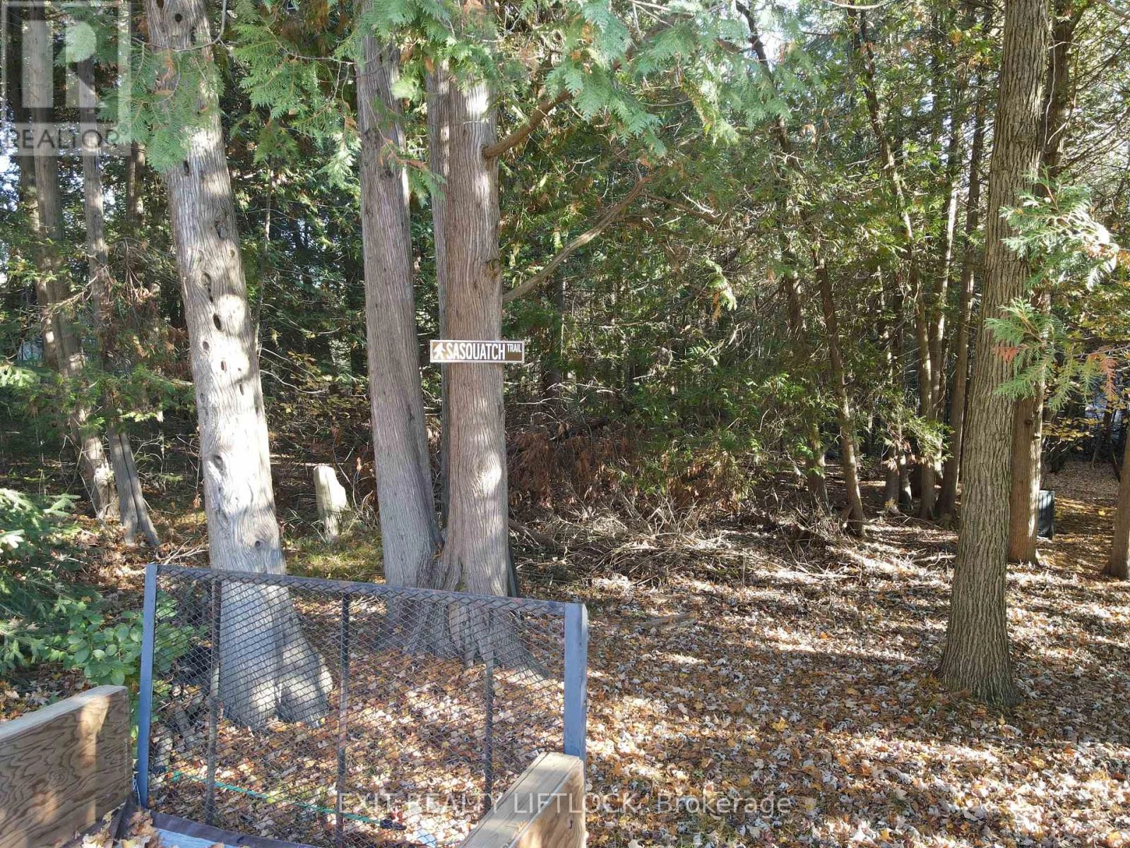 1430 Drysdale Road, Asphodel-Norwood, Ontario K0L 2V0 - Photo 24 - X12489950