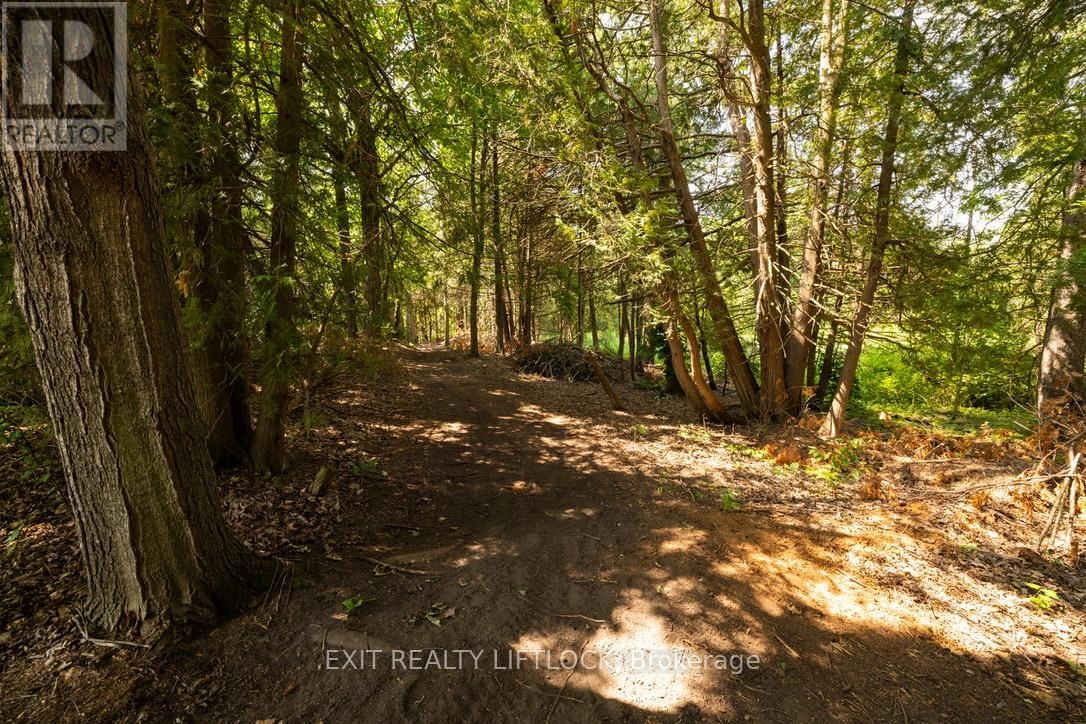 1430 Drysdale Road, Asphodel-Norwood, Ontario K0L 2V0 - Photo 29 - X12489950