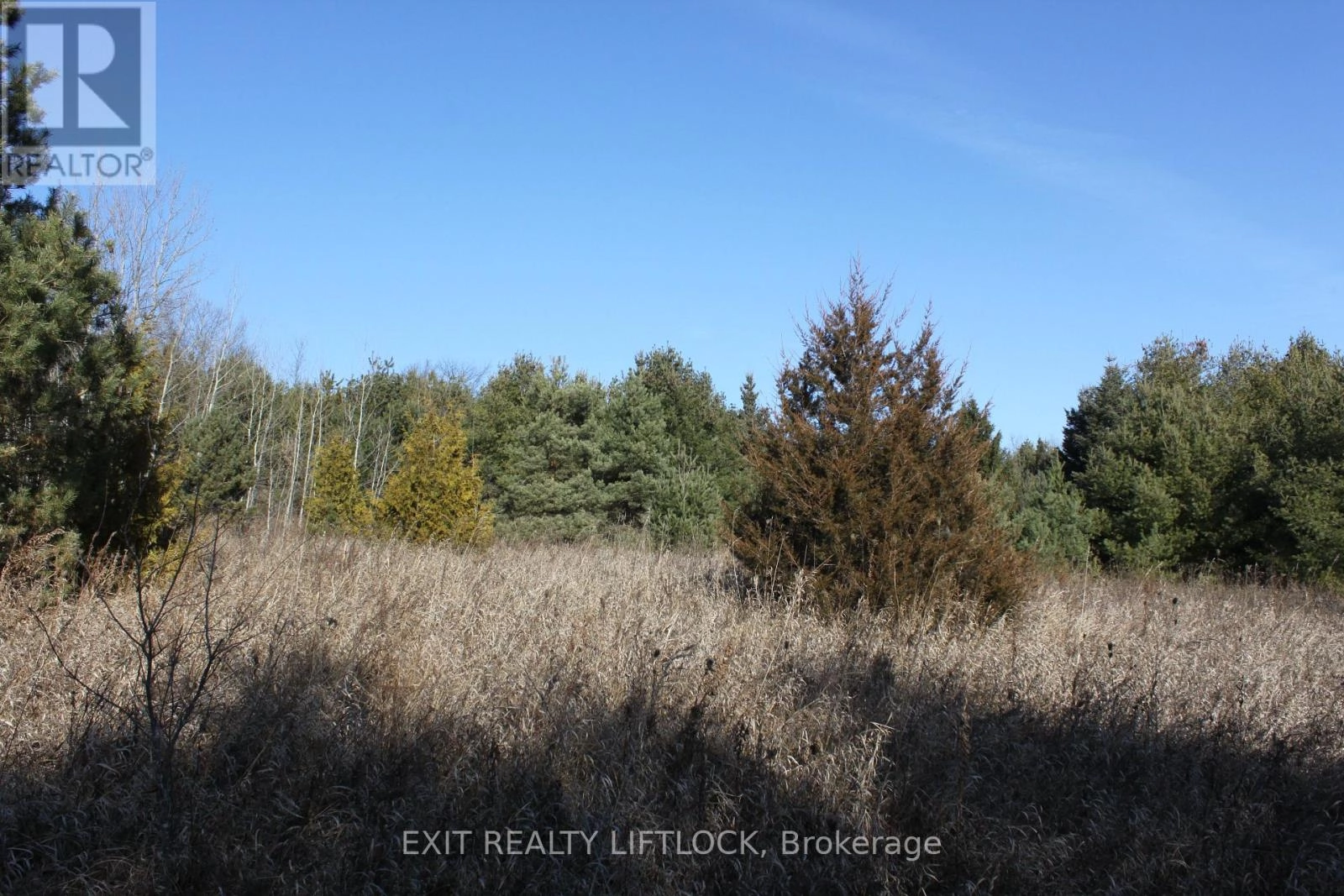 104 Concession 3 W, Trent Hills, Ontario K0K 3K0 - Photo 11 - X12089524