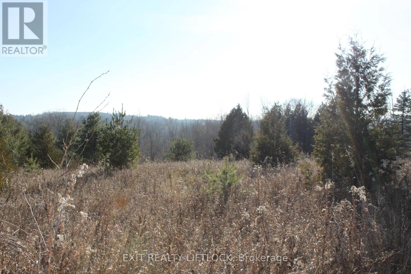 104 Concession 3 W, Trent Hills, Ontario K0K 3K0 - Photo 5 - X12089524