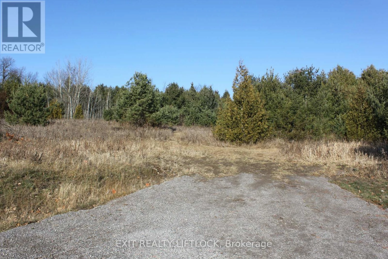 104 Concession 3 W, Trent Hills, Ontario K0K 3K0 - Photo 2 - X12089524